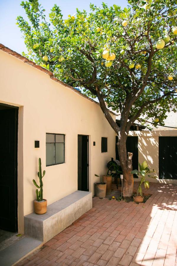509 Accommodation Oaxaca Екстериор снимка
