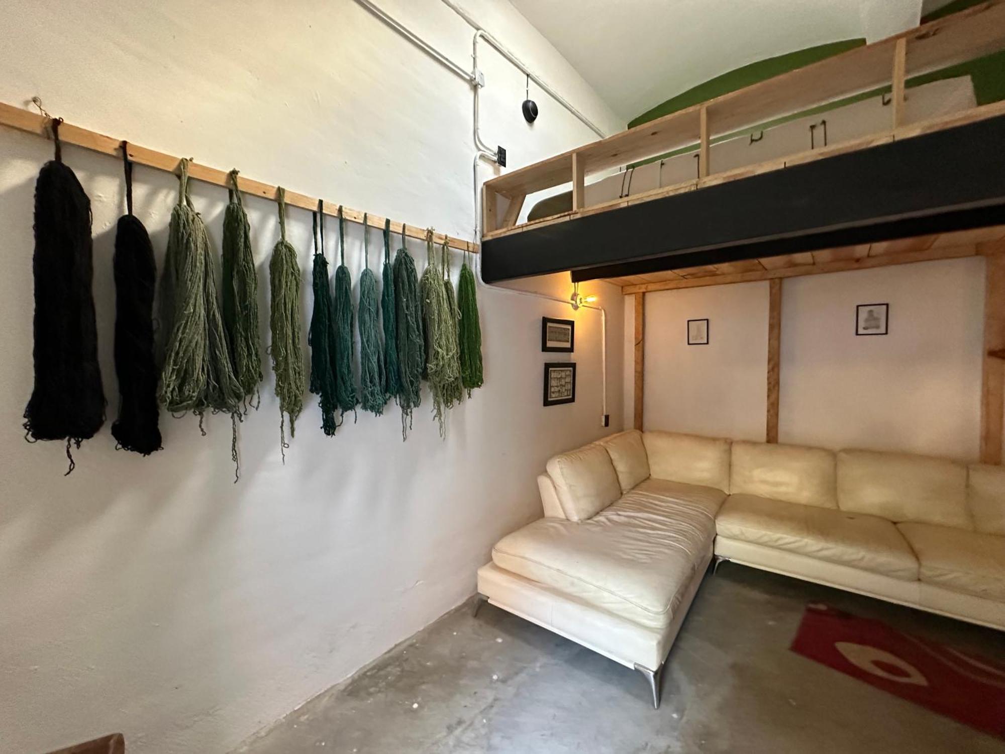 509 Accommodation Oaxaca Екстериор снимка
